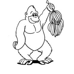 Dibujo de Chimpancé sosteniendo un racimo de plátanos para colorear