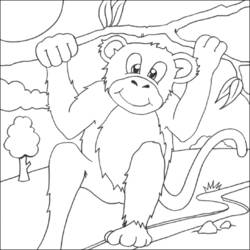 Dibujo de Chimpancé colgado de una rama de árbol para colorear
