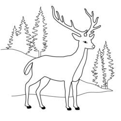 Dibujo de Ciervo de pie en un bosque de pinos para colorear