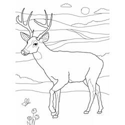 Dibujo de Ciervo de pie en un paisaje de colinas para colorear