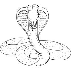 Dibujo de Cobra de frente con lengua bífida afuera para colorear