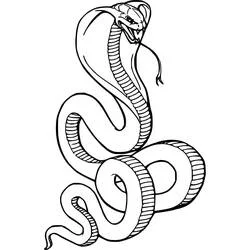 Dibujo de Cobra erguida con el cuerpo enrollado para colorear