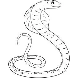 Dibujo de Cobra en curva de S con escamas simples para colorear
