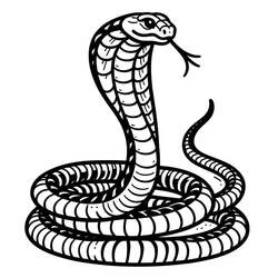 Dibujo de Cobra con ojo atento y varios bucles para colorear