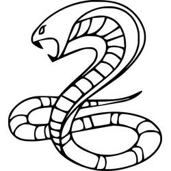 Dibujo de Cobra con escamas segmentadas y cola curvada para colorear