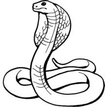 Dibujo de Cobra con capucha desplegada para colorear