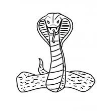 Cobra - Dibujos para colorear gratis