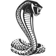 Dibujo de Cobra erguida con la capucha desplegada para colorear