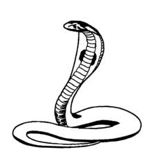 Dibujo de Cobra con capucha desplegada y cuerpo enroscado para colorear