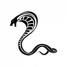 Dibujo de Cobra con capucha desplegada y cola enrollada para colorear