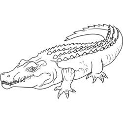 Cocodrilo - Dibujos para colorear gratis