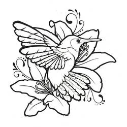 Dibujo de Colibrí volando junto a flores de lirio para colorear