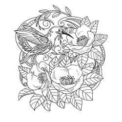 Dibujo de Colibrí entre flores para colorear