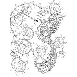 Dibujo de Colibrí adornado con motivos florales y espirales para colorear