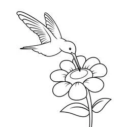 Dibujo de Colibrí posado ante una flor para colorear
