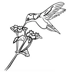 Dibujo de Colibrí con ramo de pétalos ondulados para colorear