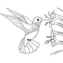 Dibujo de Colibrí en vuelo con flor tubular y estambres para colorear