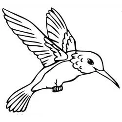 Dibujo de Colibrí con pico fino y ojo bien definido para colorear