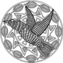 Dibujo de Colibrí en el centro de un mandala decorativo para colorear