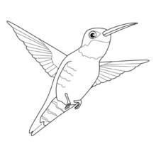 Dibujo de Colibrí volando con las alas extendidas para colorear
