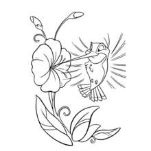 Dibujo de Colibrí volando hacia una gran flor para colorear