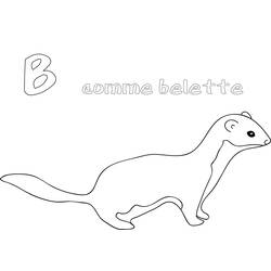 Comadreja - Dibujos para colorear gratis