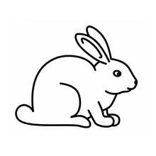 Conejo - Dibujos para colorear gratis