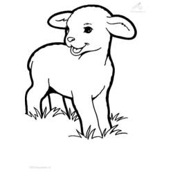 Dibujo de Cordero de pie sobre la hierba para colorear Dibujo de Cordero de pie sobre la hierba para colorear