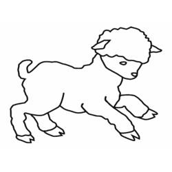 Dibujo de Cordero saltando alegremente para colorear Dibujo de Cordero saltando alegremente para colorear
