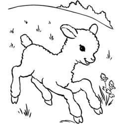 Dibujo de Cordero saltando en un prado para colorear Dibujo de Cordero saltando en un prado para colorear