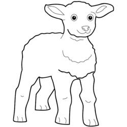 Dibujo de Cordero de pie con ojos grandes para colorear Dibujo de Cordero de pie con ojos grandes para colorear