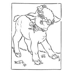 Dibujo de Cordero con corona de flores para colorear Dibujo de Cordero con corona de flores para colorear