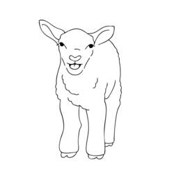 Dibujo de Cordero de pie mirando hacia delante para colorear Dibujo de Cordero de pie mirando hacia delante para colorear