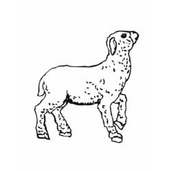 Dibujo de Cordero con pata delantera levantada para colorear Dibujo de Cordero con pata delantera levantada para colorear