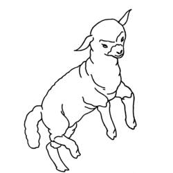 Dibujo de Cordero en salto sobre prado verde para colorear Dibujo de Cordero en salto sobre prado verde para colorear