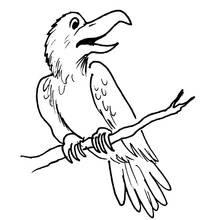 Cuervo - Dibujos para colorear gratis