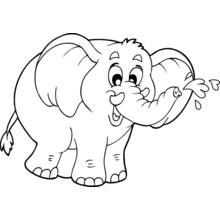 Dibujo de Elefante lanzando agua con su trompa para colorear