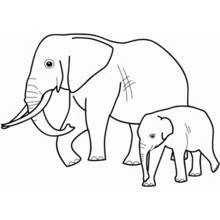 Dibujo de Elefante caminando con su cría para colorear