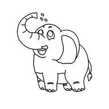 Elefante - Dibujos para colorear gratis