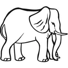 Dibujo de Elefante de pie de perfil para colorear