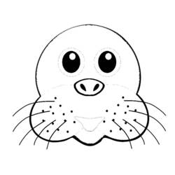 Dibujo de Foca con cara redonda y ojos grandes para colorear