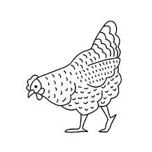 Dibujo de Gallina picoteando el suelo para colorear
