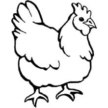 Dibujo de Gallina de pie con la cresta erguida para colorear
