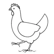 Dibujo de Gallina caminando por el suelo para colorear