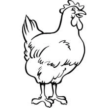 Dibujo de Gallina de pie con plumaje abundante para colorear