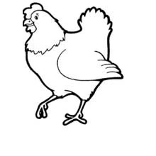 Dibujo de Gallina caminando con la cola levantada para colorear