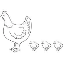 Dibujo de Gallina de pie con tres pollitos para colorear