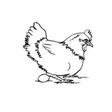 Dibujo de Gallina de pie junto a un huevo para colorear