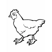 Dibujo de Gallina caminando de perfil para colorear