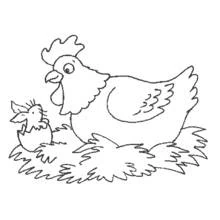 Dibujo de Gallina observando a un pollito salir del huevo para colorear